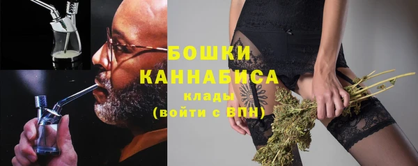 индика Липки