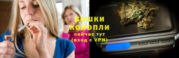 гидра Лихославль