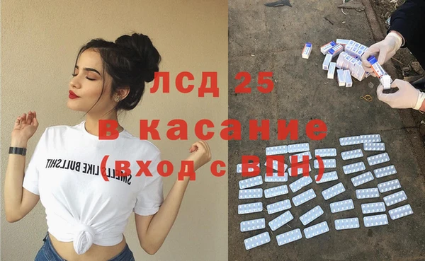 индика Липки