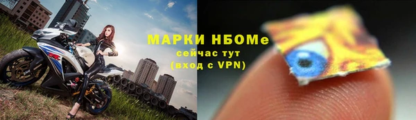 амф Анжеро-Судженск